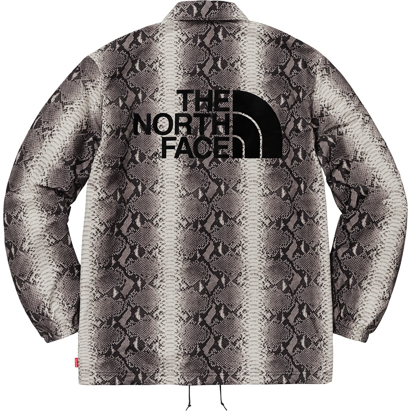 Supreme®/The North Face® Snakeskin Taped Seam Coaches Jacket view 3